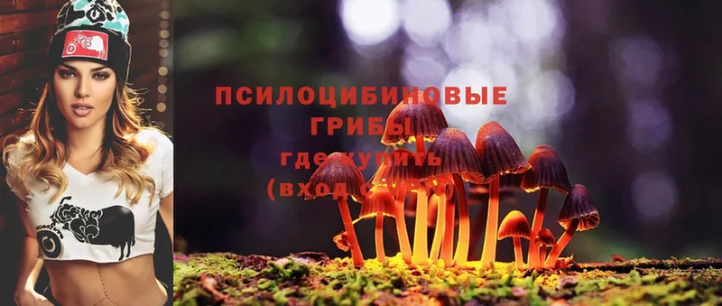 Галлюциногенные грибы MAGIC MUSHROOMS  Завитинск 